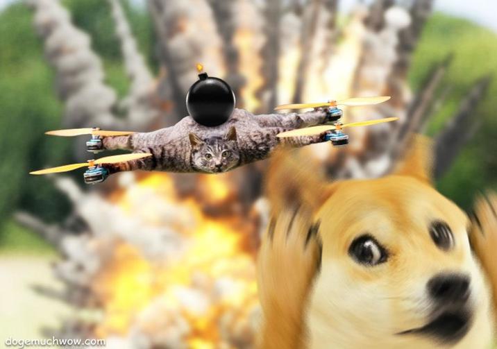 dogemuchwow.com