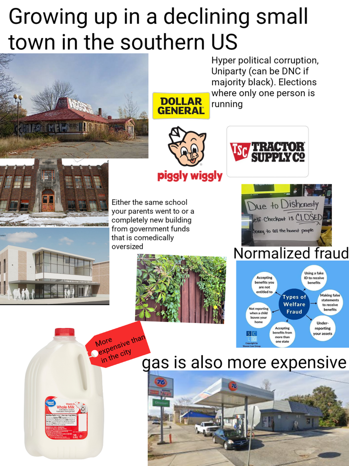 marters Growing up in a declining small town in the southern US DOLLAR GENERAL Hyper political corruption, Uniparty (can be DNC if majority black). Elections where only one person is running Great Value Whole Milk 3.55% Grade A, Pasteurized Homogen bed Hutrition Facts Saning Serv.size: 1 cup (240 Aprann Calories 150, newness Tex Tog (3.78L) piggly wiggly Either the same school your parents went to or a completely new building from government funds that is comedically oversized TSC TRACTOR SUPPLY CO Due to Dishonesty elf-Checkout is CLOSED Borey to all the honest people Normalized fraud More expensive than in the city Accepting benefits you are not entitled to Not reporting when a child leaves your home SC Copyright by Shouse Law Group Using a fake ID to receive benefits Types of Welfare Fraud Accepting benefits from more than one state Making false statements to receive benefits Under- reporting your assets gas is also more expensive 76 76 Diesel