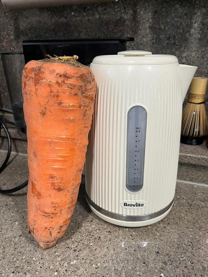 MAX • 8 • 6 7 Breville