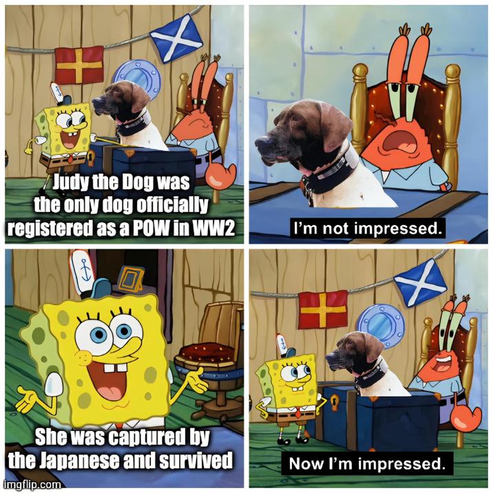 Judy the Dog was the only dog officially registered as a POW in WW2 of I'm not impressed. 7 She was captured by the Japanese and survived imgflip.com Now I'm impressed.
