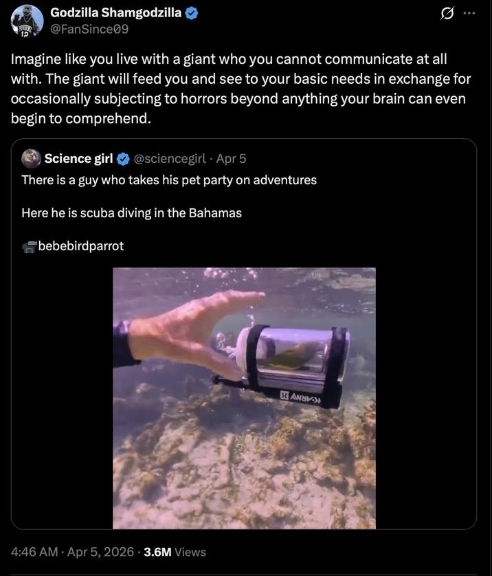 12 Godzilla Shamgodzilla @FanSince09 Q Imagine like you live with a giant who you cannot communicate at all with. The giant will feed you and see to your basic needs in exchange for occasionally subjecting to horrors beyond anything your brain can even begin to comprehend. Science girl @sciencegirl Apr 5 There is a guy who takes his pet party on adventures Here he is scuba diving in the Bahamas bebebirdparrot . 4:46 AM Apr 5, 2026 3.6M Views A