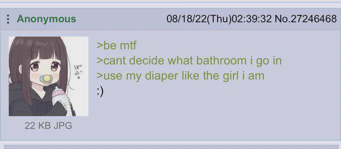 Anonymous 22 KB JPG 08/18/22(Thu)02:39:32 No.27246468 >be mtf >cant decide what bathroom i go in >use my diaper like the girl i am :)