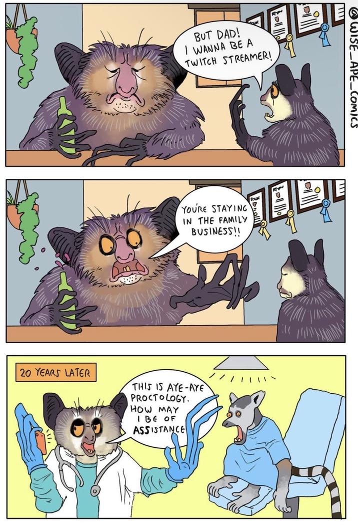 BUT DAD! I WANNA BE A TWITCH STREAMER! YOU'RE STAYING IN THE FAMILY BUSINESS!! 20 YEARS LATER THIS IS AYE-AYE PROCTOLOGY. HOW MAY I BE OF ASSISTANCE SOUR 0 @WISE APE_COMICS
