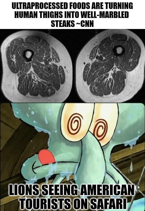 ULTRAPROCESSED FOODS ARE TURNING HUMAN THIGHS INTO WELL-MARBLED STEAKS-CNN LIONS SEEING AMERICAN TOURISTS ON SAFARI