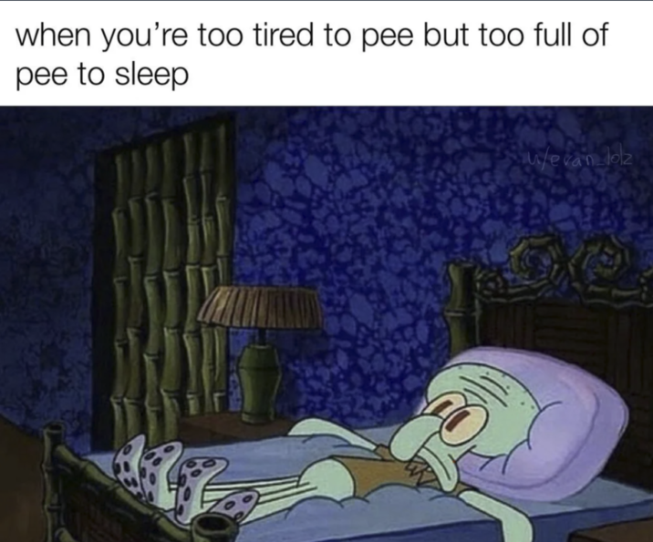 when you're too tired to pee but too full of pee to sleep u/evan lolz
