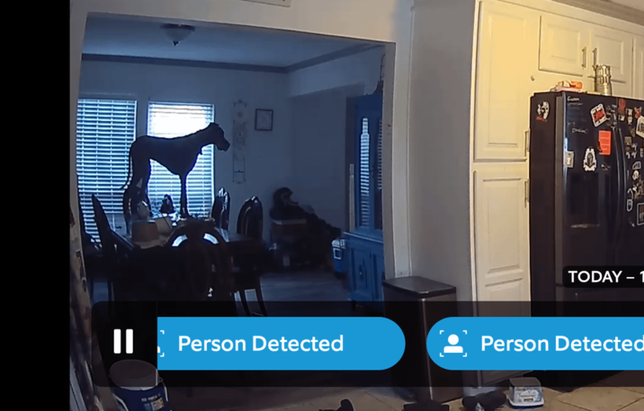 || Person Detected A TODAY - 1 Person Detected