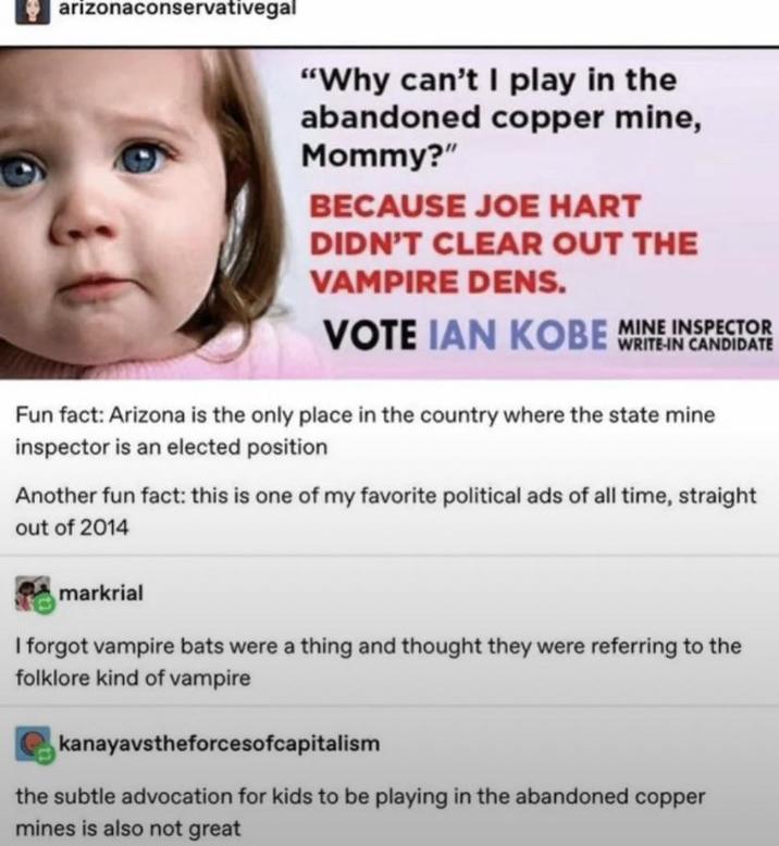 arizonaconservativegal "Why can't I play in the abandoned copper mine, Mommy?" BECAUSE JOE HART DIDN'T CLEAR OUT THE VAMPIRE DENS. MINE VOTE IAN KOBE WRITE IN CANDIDATE Fun fact: Arizona is the only place in the country where the state mine inspector is an elected position Another fun fact: this is one of my favorite political ads of all time, straight out of 2014 markrial I forgot vampire bats were a thing and thought they were referring to the folklore kind of vampire kanayavstheforcesofcapitalism the subtle advocation for kids to be playing in the abandoned copper mines is also not great