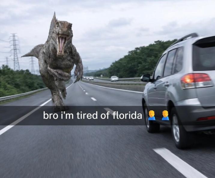 bro i'm tired of florida