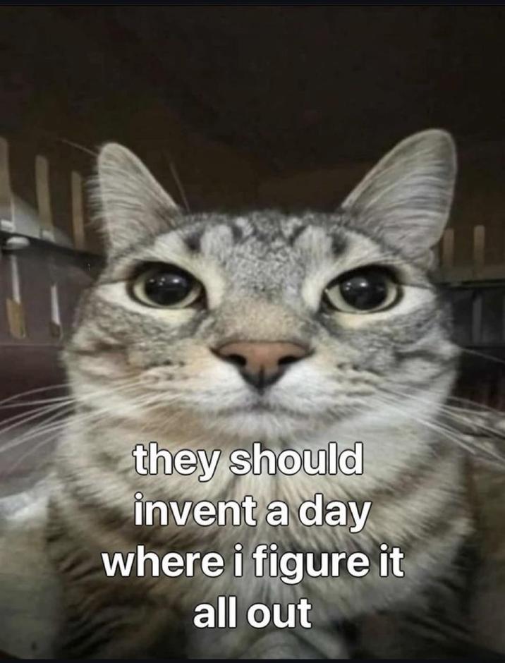 they should invent a day where i figure it all out