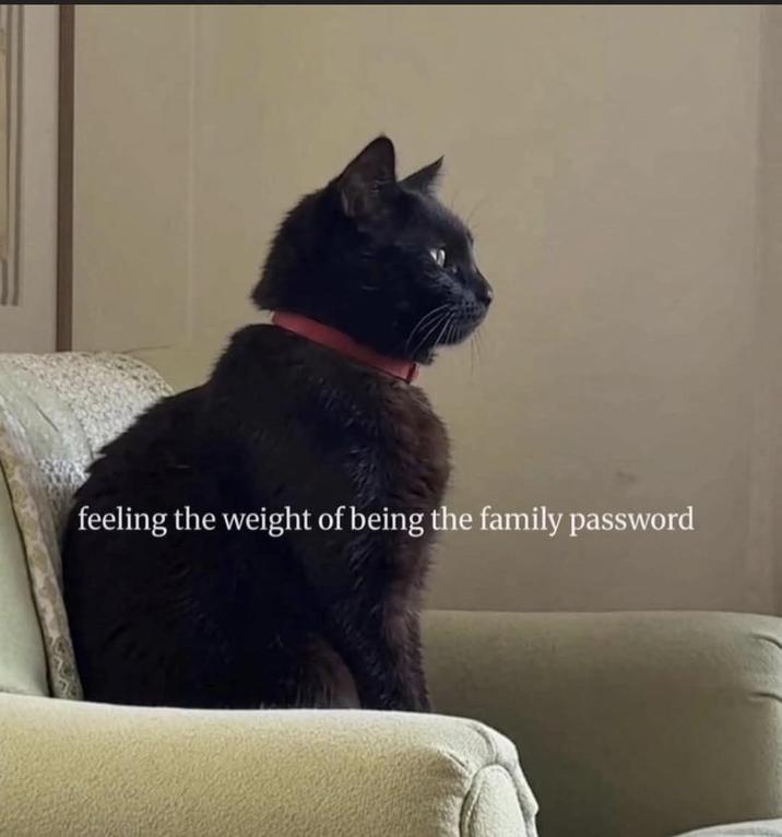 feeling the weight of being the family password