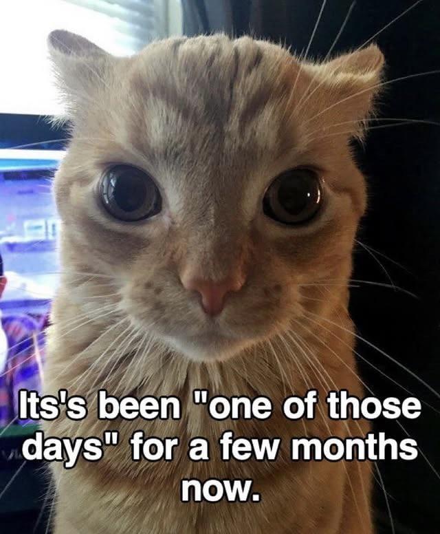 Its's been "one of those days" for a few months now.