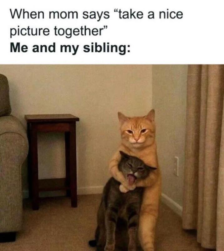 When mom says "take a nice picture together" Me and my sibling: