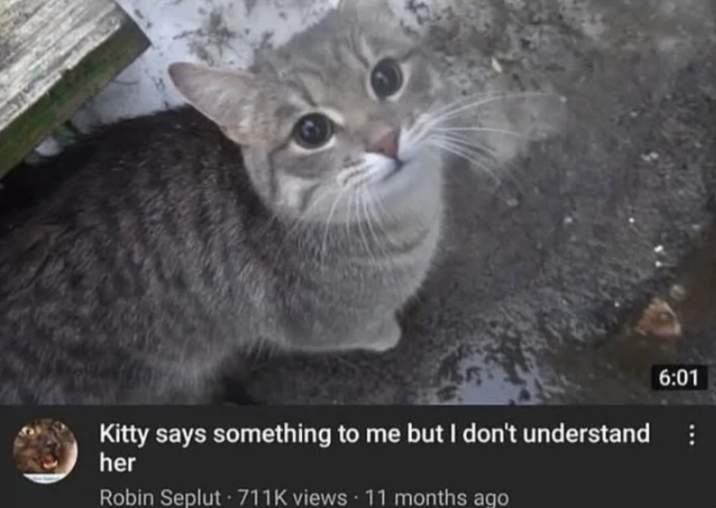 Kitty says something to me but I don't understand her Robin Seplut 711K views • 11 months ago 6:01