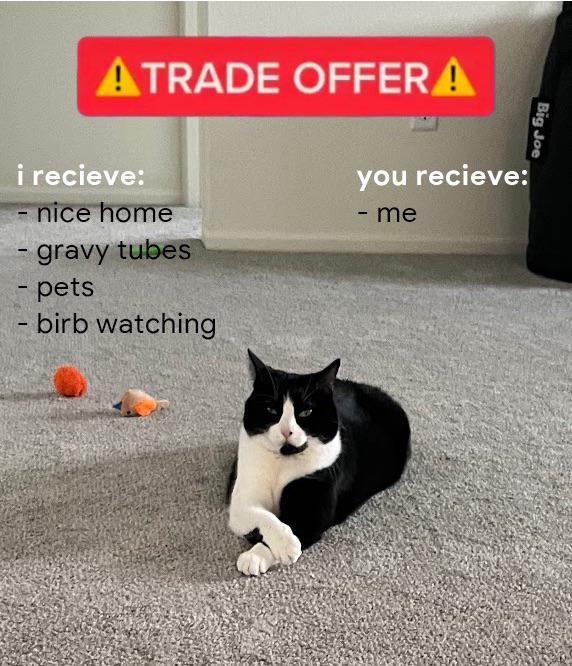 ATRADE OFFERA i recieve: - nice home gravy tubes - pets - birb watching Big Joe you recieve: - - me