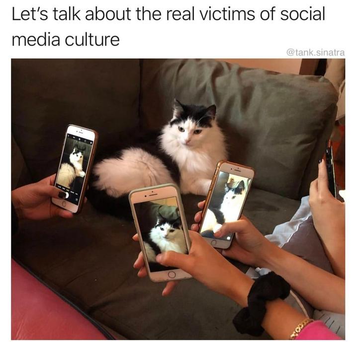 Let's talk about the real victims of social media culture @tank.sinatra