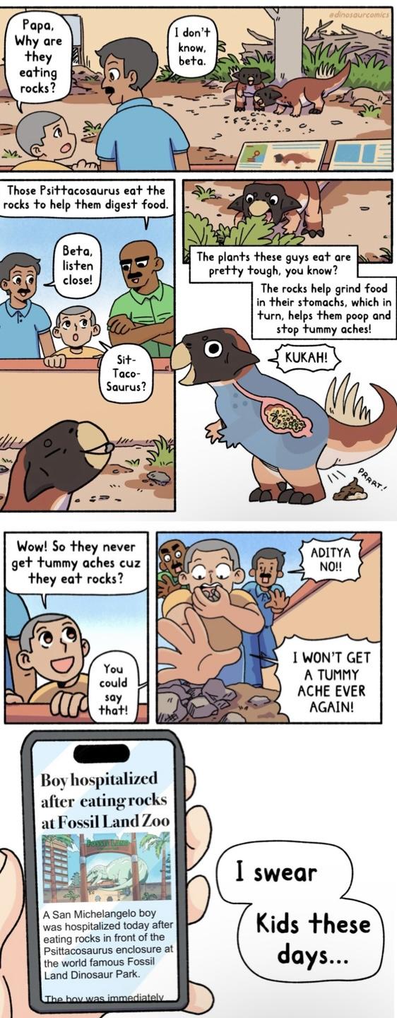 Papa. Why are they eating rocks? edinosaurcomics I don't know, beta. My Those Psittacosaurus eat the rocks to help them digest food. 11 Beta, listen close! Sit- Taco- Saurus? D The plants these guys eat are pretty tough, you know? The rocks help grind food in their stomachs, which in turn, helps them poop and stop tummy aches! KUKAH! Wow! So they never get tummy aches cuz they eat rocks? ADITYA NO!! PRART! You could say that! I WON'T GET A TUMMY ACHE EVER AGAIN! Boy hospitalized after eating rocks at Fossil Land Zoo A San Michelangelo boy was hospitalized today after eating rocks in front of the Psittacosaurus enclosure at the world famous Fossil Land Dinosaur Park. The boy was immediately I swear Kids these days...