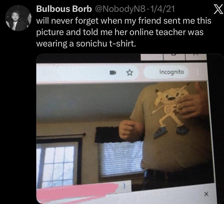 X Bulbous Borb @NobodyN8 1/4/21 will never forget when my friend sent me this picture and told me her online teacher was wearing a sonichu t-shirt. Incognito X
