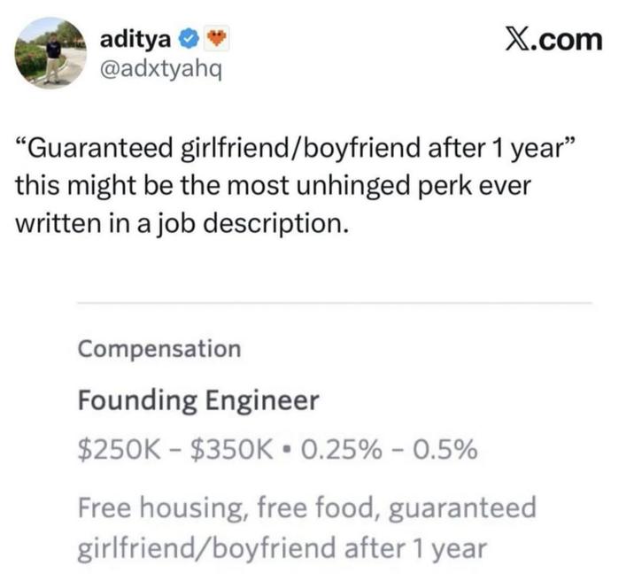 aditya ❤ @adxtyahq X.com "Guaranteed girlfriend/boyfriend after 1 year" this might be the most unhinged perk ever written in a job description. Compensation Founding Engineer $250K $350K 0.25% -0.5% Free housing, free food, guaranteed girlfriend/boyfriend after 1 year