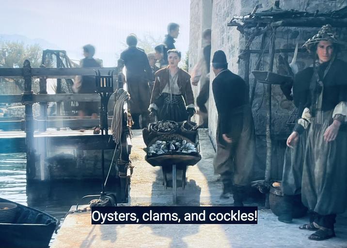 Oysters, clams, and cockles!