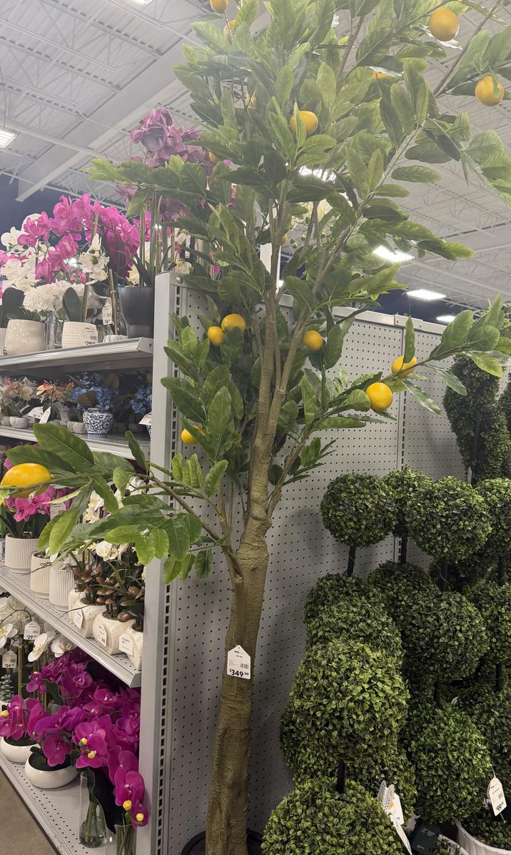 $24.99 $29.99 $5.99 B at h at hame 14.30 $20.90 $14.99 TREE $349.99 LIGHTS 19 SH T 40 AT LED ACROSS $00.99