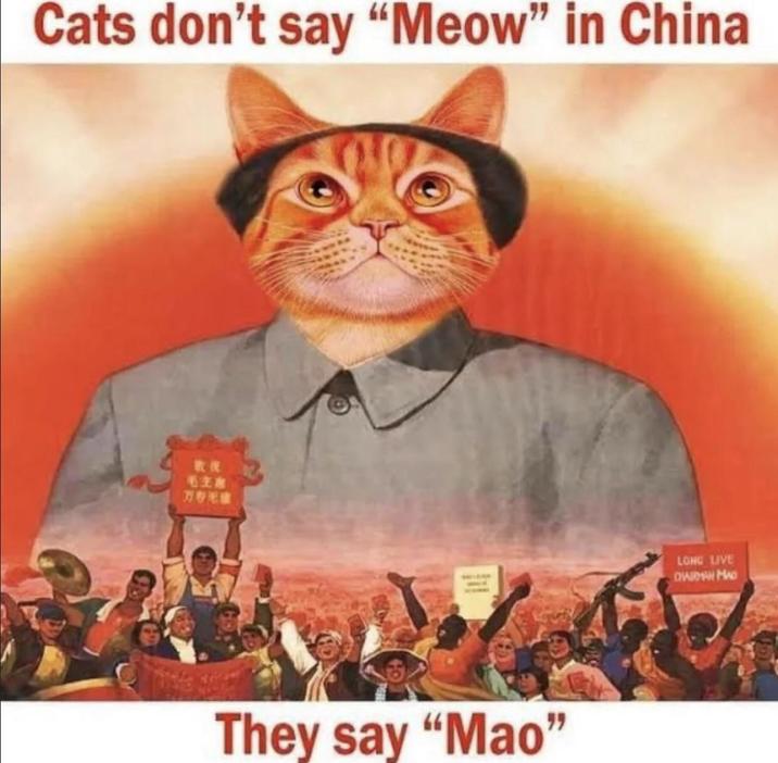 Cats don't say "Meow" in China 毛主席 万无破 They say "Mao" LONG LIVE QAIDAN MAD