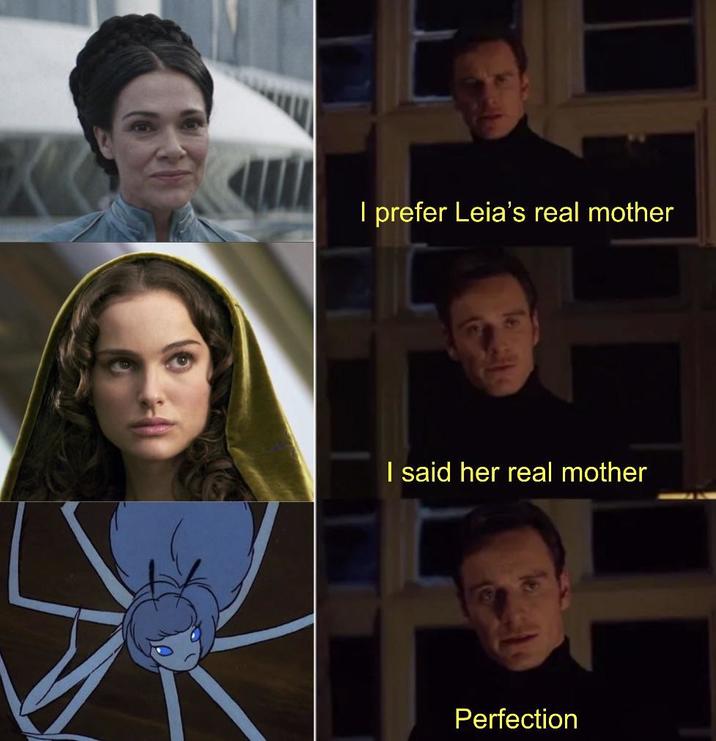 I prefer Leia's real mother I said her real mother Perfection