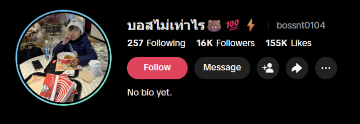 บอสไม่เท่าไร 100bossnt0104 257 Following 16K Followers 155K Likes Follow Message No bio yet.
