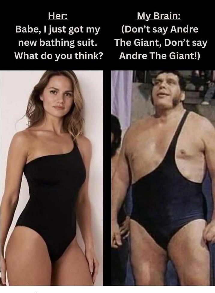 Her: Babe, I just got my new bathing suit. What do you think? My Brain: (Don't say Andre The Giant, Don't say Andre The Giant!)