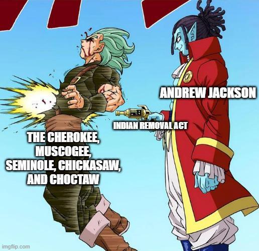 ANDREW JACKSON THE CHEROKEE MUSCOGEE INDIAN REMOVAL ACT SEMINOLE, CHICKASAW, AND CHOCTAW imgflip.com
