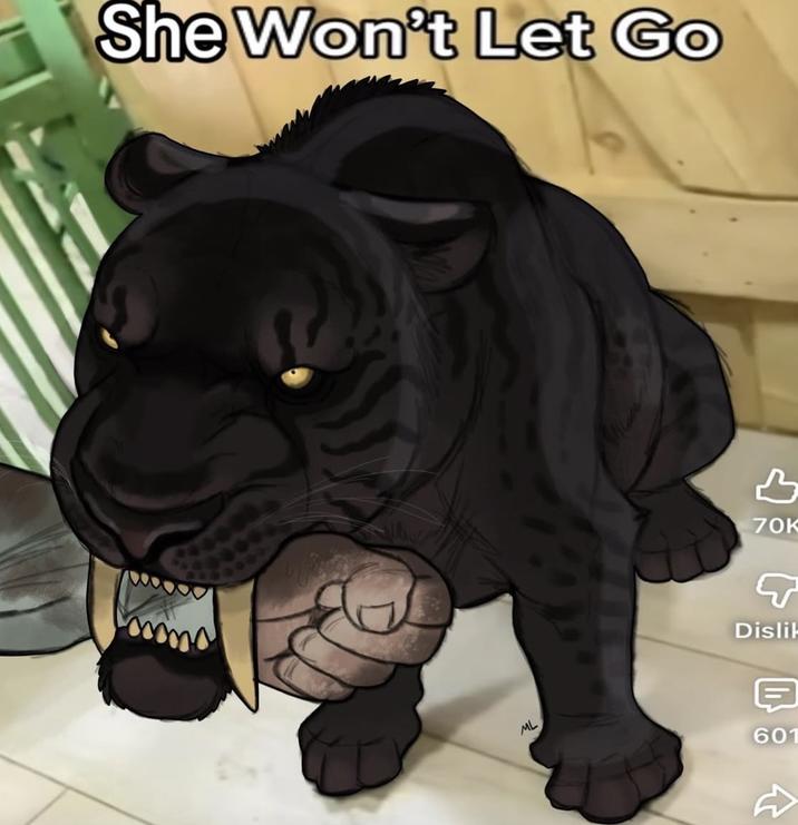 She Won't Let Go 70K ML Dislik 601