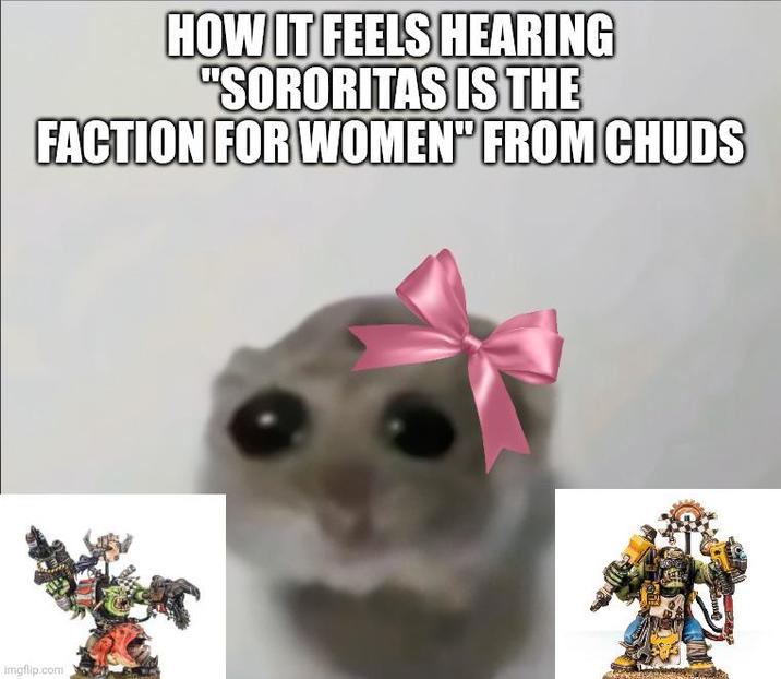 HOW IT FEELS HEARING "SORORITAS IS THE FACTION FOR WOMEN" FROM CHUDS imgflip.com