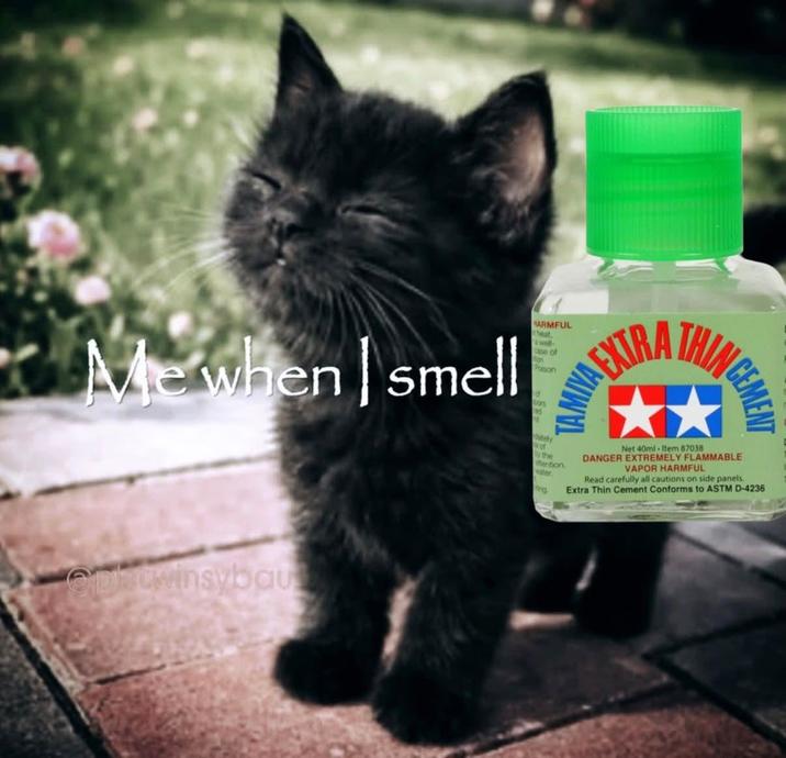 THIN CEMEN TAMIYA NA EXTRA Me when I smell of entwinsybau dately of by the mention water ing Net 40ml Item 87038 DANGER EXTREMELY FLAMMABLE VAPOR HARMFUL Read carefully all cautions on side panels. Extra Thin Cement Conforms to ASTM D-4236