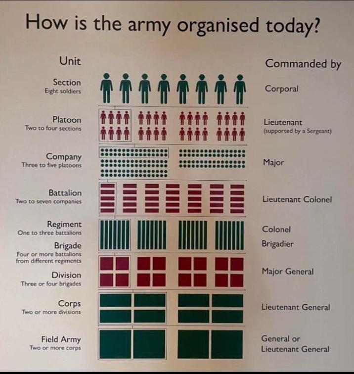 How is the army organised today? Unit Section Eight soldiers Commanded by Corporal Platoon Two to four sections Lieutenant (supported by a Sergeant) Company Three to five platoons Major Battalion Two to seven companies Regiment One to three battalions Brigade Four or more battalions from different regiments Division Three or four brigades Corps Two or more divisions Lieutenant Colonel Colonel Brigadier Major General Lieutenant General Field Army Two or more corps General or Lieutenant General
