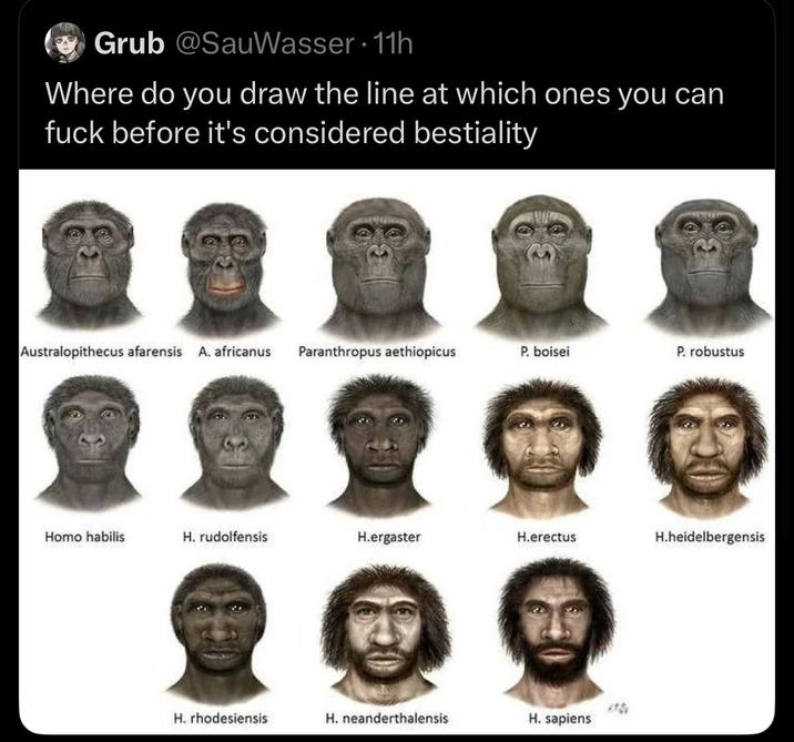 Grub @SauWasser 11h Where do you draw the line at which ones you can f--- before it's considered b--------- Australopithecus afarensis A. africanus Paranthropus aethiopicus P. boisei P. robustus H--- habilis H. rudolfensis H.ergaster H.erectus H.heidelbergensis H. rhodesiensis H. neanderthalensis H. sapiens