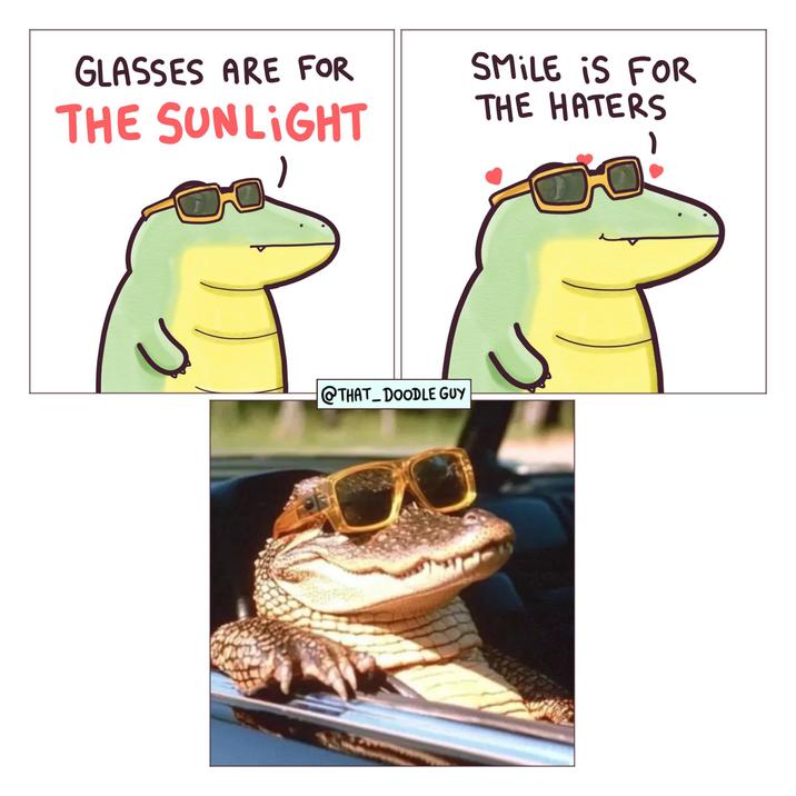 GLASSES ARE FOR THE SUNLIGHT SMILE IS FOR THE HATERS @THAT_DOODLE GUY