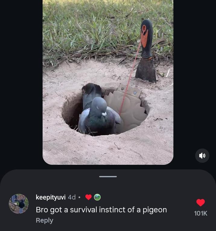 keepityuvi 4d • Bro got a survival instinct of a pigeon Reply 101K