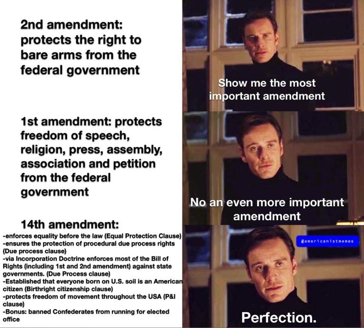 2nd amendment: protects the right to bare arms from the federal government 1st amendment: protects freedom of speech, religion, press, assembly, association and petition from the federal government 14th amendment: -enforces equality before the law (Equal Protection Clause) -ensures the protection of procedural due process rights (Due process clause) -via Incorporation Doctrine enforces most of the Bill of Rights (including 1st and 2nd amendment) against state governments. (Due Process clause) -Established that everyone born on U.S. soil is an American citizen (Birthright citizenship clause) -protects freedom of movement throughout the USA (P&I clause) -Bonus: banned Confederates from running for elected office Show me the most important amendment No an even more important amendment @americanistmemes Perfection.