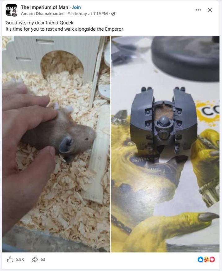 The Imperium of Man. Join Amarin Dhamakhantee Yesterday at 7:19 PM. Goodbye, my dear friend Queek It's time for you to rest and walk alongside the Emperor 5.8K 63 CO