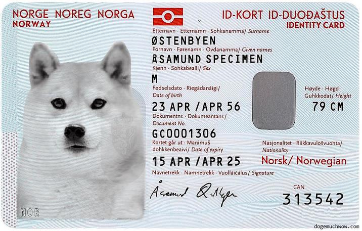 NORGE NOREG NORGA NORWAY ID-KORT ID-DUODAŠTUS Etternavn Etternamn Sohkanamma/ Surname ØSTENBYEN Fornavn Førenamn Ovdanamma/ Given names ASAMUND SPECIMEN Kjønn Sohkabealli/ Sex M Fødselsdato Riegádanáigi/ Date of birth 23 APR /APR 56 Dokumentnr. Dokumeantanr./ Document No. GC0001306 Kortet går ut Manimuš dohkkenbeaivi/ Date of expiry 15 APR /APR 25 IDENTITY CARD Høyde Høgd Guhkkodat/ Height 79 CM Nasjonalitet Riikkavulošvuohta/ Nationality Norsk/ Norwegian Navnetrekk Namnetrekk Vuolláičálus/ Signature Åsamund Qilleger CAN 313542 NOR dogemuchwow.com