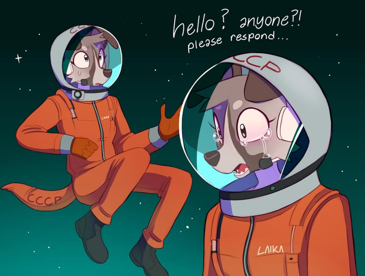 CCCP LAIKA hello? anyone?! са please respond... LAIKA