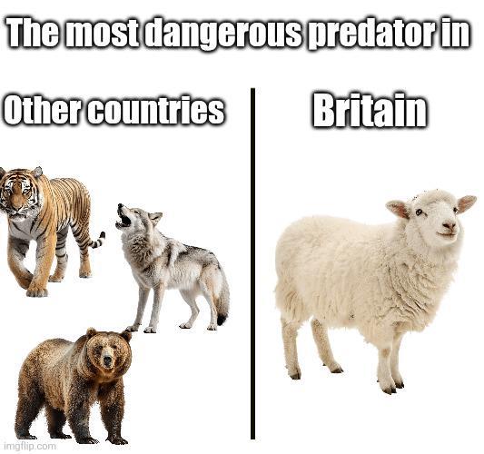 The most dangerous predator in Other countries Britain imgflip.com