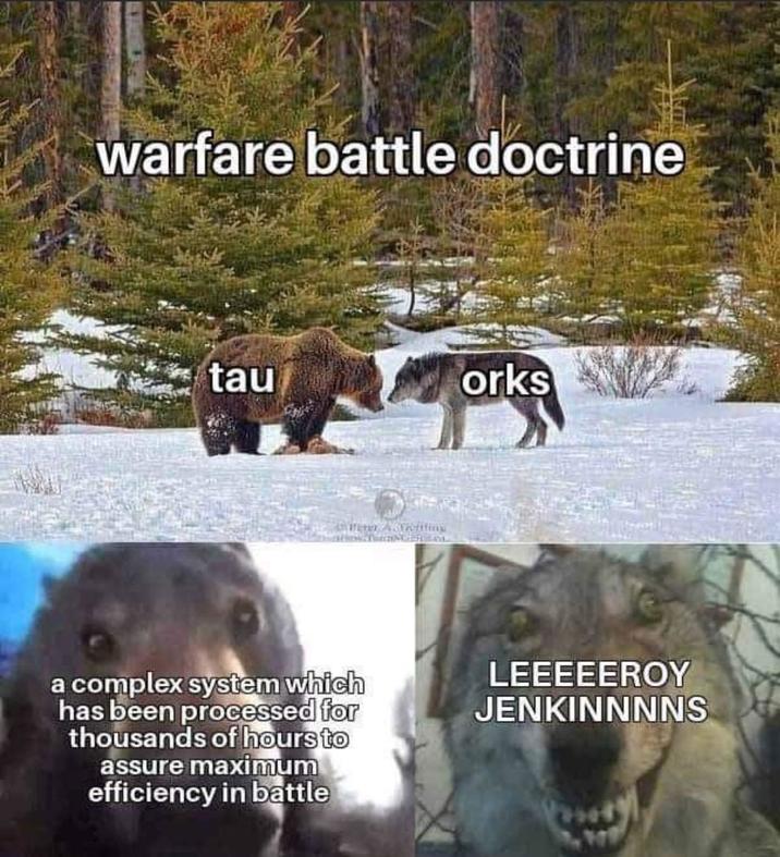 warfare battle doctrine tau orks a complex system which has been processed for thousands of hours to assure maximum efficiency in battle LEEEEEROY JENKINNNNS