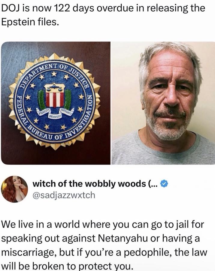 DOJ is now 122 days overdue in releasing the Epstein files. DEPARTMENT OF JUSTICE FEDERAL IGATION FIDELITY BRAVERY BUREAU OF INTEGRITY INVESTIC witch of the wobbly woods (... ✪ @sadjazzwxtch We live in a world where you can go to jail for speaking out against Netanyahu or having a miscarriage, but if you're a p--------, the law will be broken to protect you.