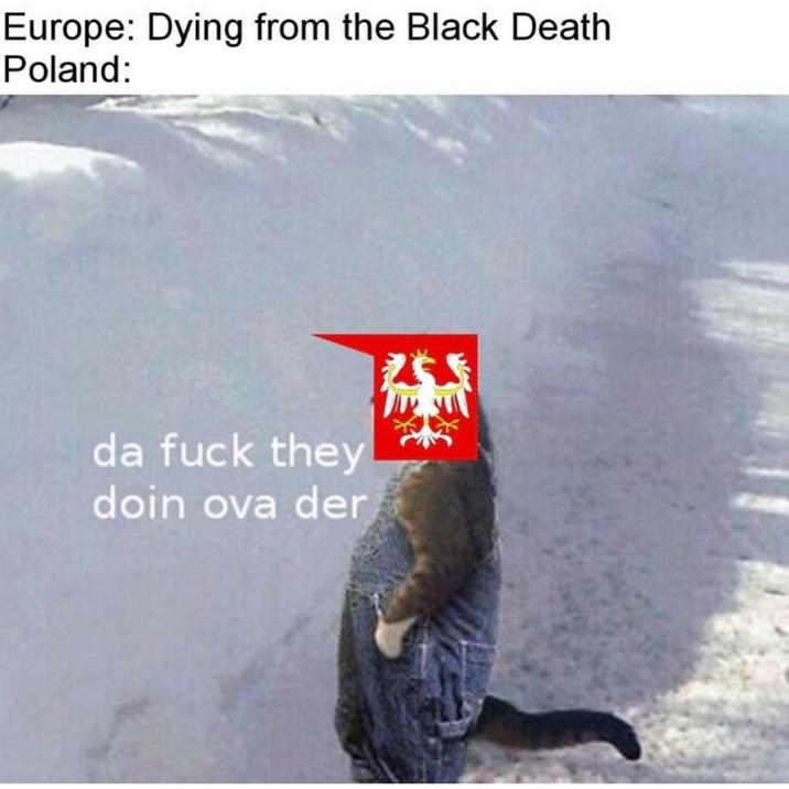 Europe: Dying from the Black Death Poland: da f--- they doin ova der