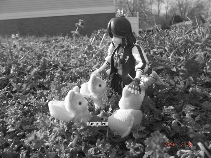 Someone's wishing she had three hands to pet them at once