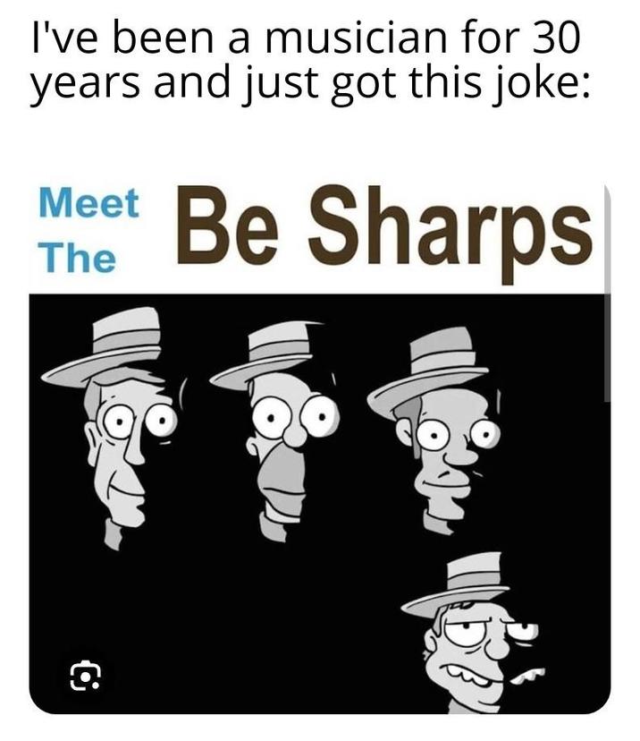 I've been a musician for 30 years and just got this joke: Meet The Be Sharps Q