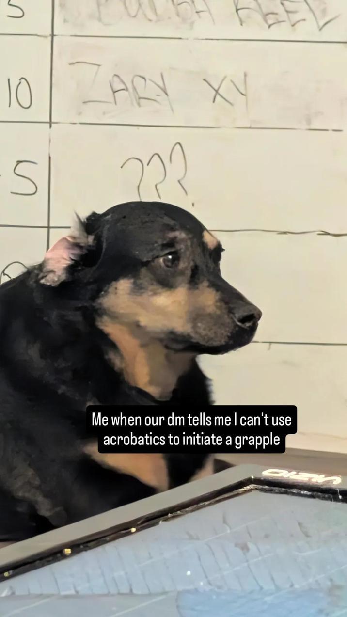 Մ 10 ZARY XY 5 Me when our dm tells me I can't use acrobatics to initiate a grapple P