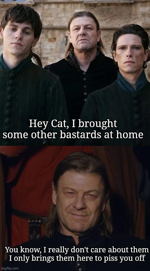 Hey Cat, I brought some other bastards at home You know, I really don't care about them I only brings them here to piss you off imgflip.com