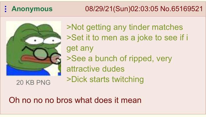 Anonymous 20 KB PNG 08/29/21(Sun)02:03:05 No.65169521 >Not getting any tinder matches >Set it to men as a joke to see if i get any >See a bunch of ripped, very attractive dudes >D--- starts twitching Oh no no no bros what does it mean