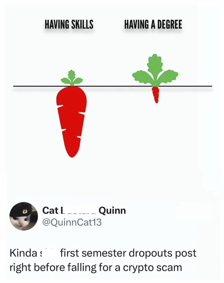 HAVING SKILLS HAVING A DEGREE Kinda Cat L _ Quinn @QuinnCat13 first semester dropouts post right before falling for a crypto scam